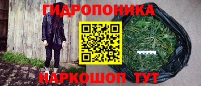 спиды Будённовск