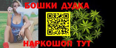гидра Кудрово