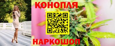 спиды Будённовск